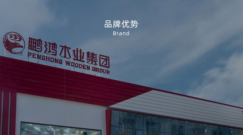 板材品牌、全屋定制品牌、生態(tài)板十大品牌